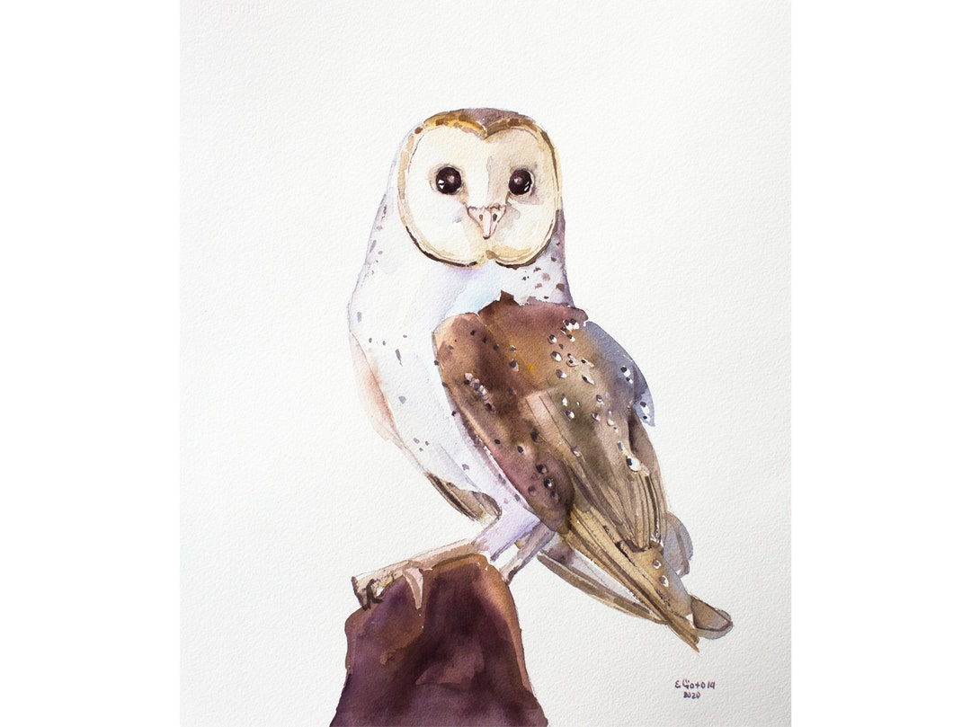 Barn Owl Painting Original Watercolor Bird Artwork Owl Wall Art by ...