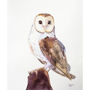 Barn Owl Painting Original Watercolor Bird Artwork Owl Wall Art by Eugenia Ciotola