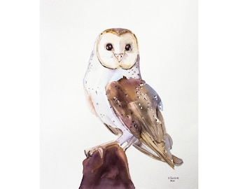 Barn Owl Painting Original Watercolor Bird Artwork Owl Wall Art by Eugenia Ciotola