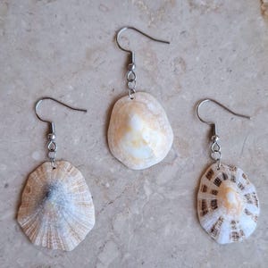 May include: Three individual dangle earrings featuring natural seashell pendants suspended from silver-toned metal fishhook wires. Each shell has a unique shape and color pattern, ranging from pale cream and white to brown radial stripes.