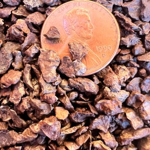 Sikhote-Alin Meteorite Fragments