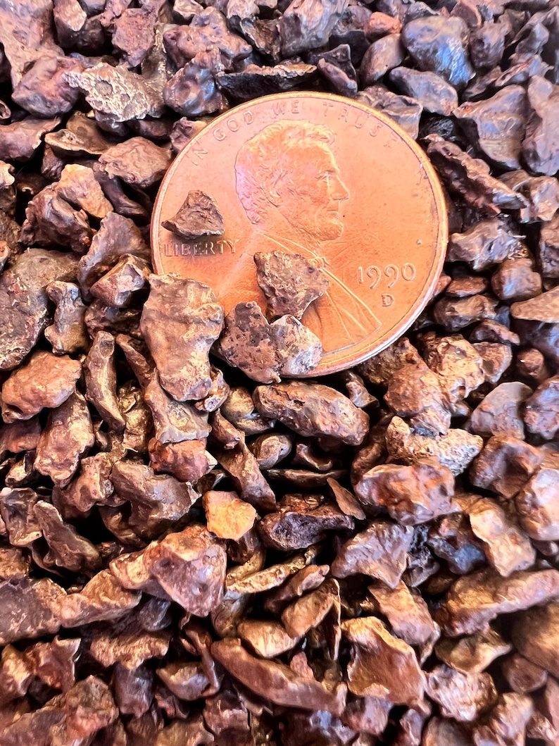 Sikhote-Alin Meteorite Fragments