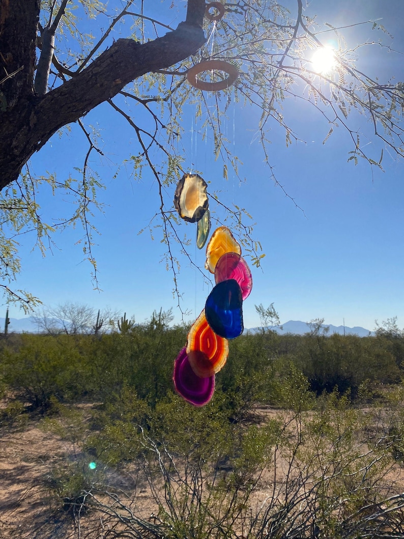 May include: A rainbow agate crystal wind chime hanging from a tree branch. The chime features six agate slices in shades of red, orange, yellow, green, blue, and purple.