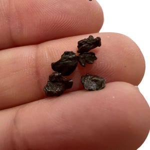 Sikhote-Alin Meteorite Fragments