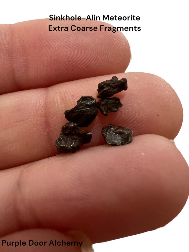Sikhote-Alin Meteorite Fragments