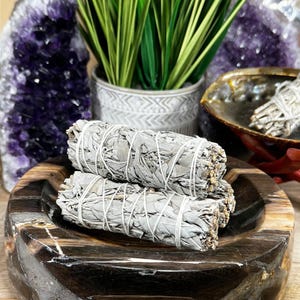 May include: Two bundles of white sage, tied with white string, sit in a dark, polished wooden bowl. The bowl has a natural, swirling grain pattern. A purple geode, a small potted plant, and a decorative shell are in the background.