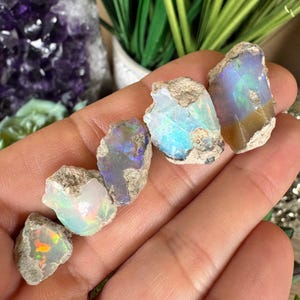 May include: Five small, raw opal stones with irregular shapes and rough, earthy edges. Each stone displays a unique play of color, including flashes of orange, green, blue, and white against a translucent to opaque base. The stones are held together.