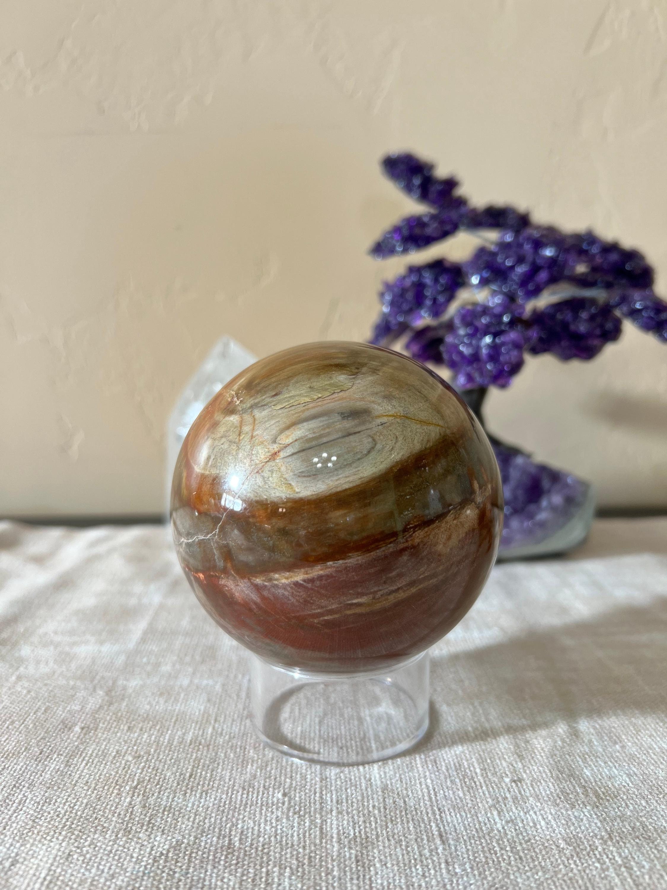 ペトリファイド ウッド エッグ 珪化木 マダガスカル産 台座付き-日本