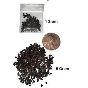 Sikhote-Alin Meteorite Fragments