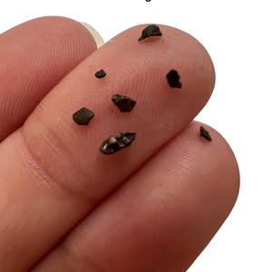 Sikhote-Alin Meteorite Fragments
