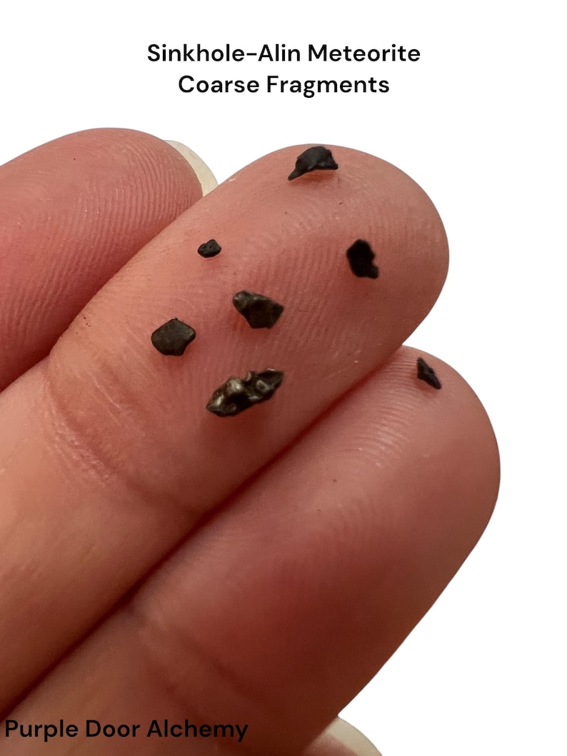 Sikhote-Alin Meteorite Fragments