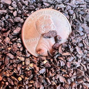 Peut inclure: Gros plan d'un penny en cuivre avec l'inscription "In God We Trust" et "Liberty" sur la pièce. Le penny est entouré de petits morceaux de matière de couleur brun foncé et de forme irrégulière.