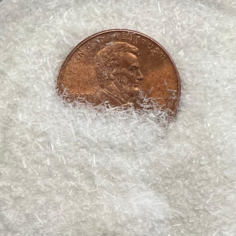 May include: A close-up of a US penny coin with the inscription "In God We Trust" and "One Cent" on the back. The coin is partially covered by a white, fluffy substance.