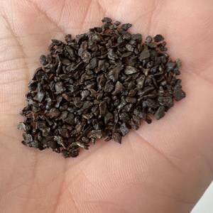 Sikhote-Alin Meteorite Fragments