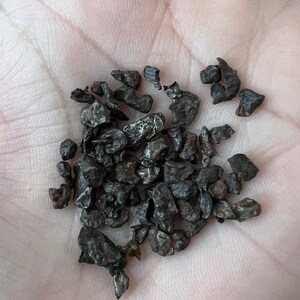 Sikhote-Alin Meteorite Fragments