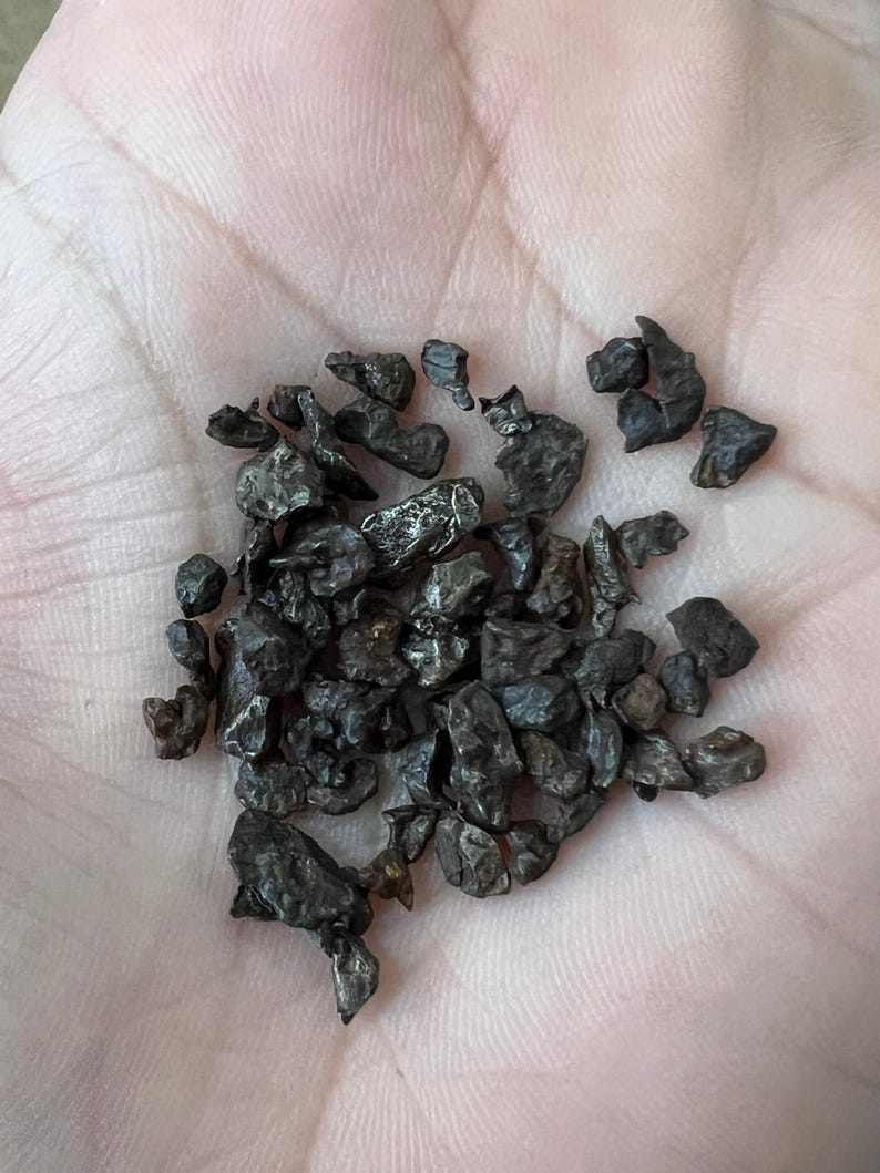 Sikhote-Alin Meteorite Fragments