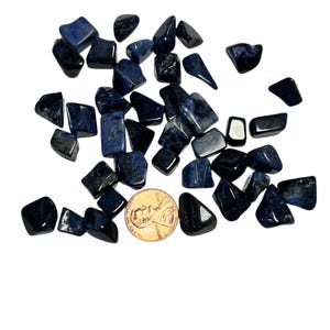 May include: A collection of blue and black tumbled lapis lazuli stones, ranging in size from 13mm to 20mm. The stones are scattered on a white background, with a US penny for scale.