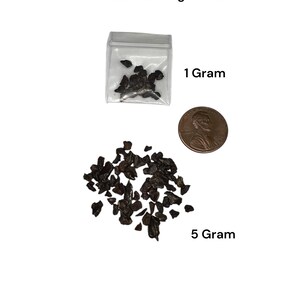 Sikhote-Alin Meteorite Fragments