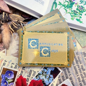 40 Medieval illuminated themed communication cards for nonverbal selective mute disabled neurodivergent autism adhd