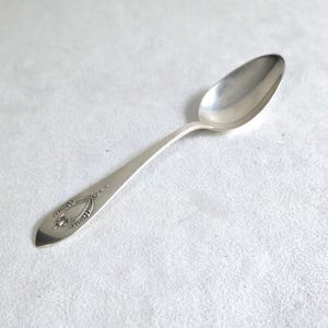 May include: A silver spoon with an oval bowl and a long, slender handle. The handle features an ornate design near the end. The spoon is likely made of stainless steel or a similar metal. The spoon is a piece of silverware.