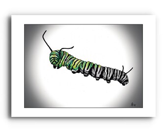 Caterpillar Poster Etsy