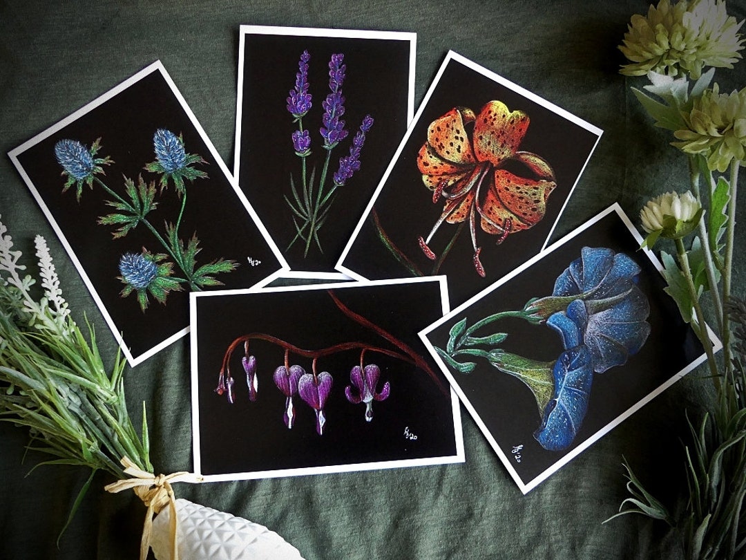 Set of 5 Flower Postcards - Etsy