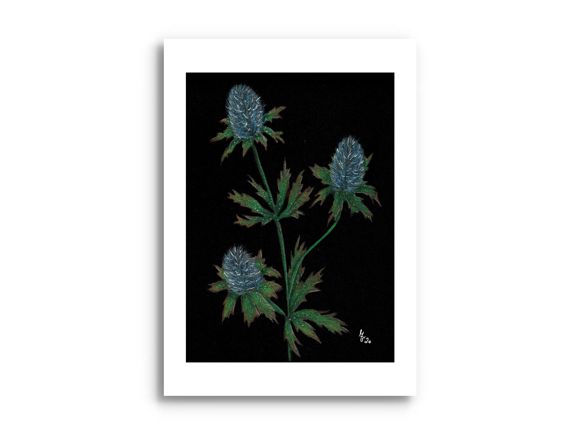 Set of 5 Flower Postcards - Etsy