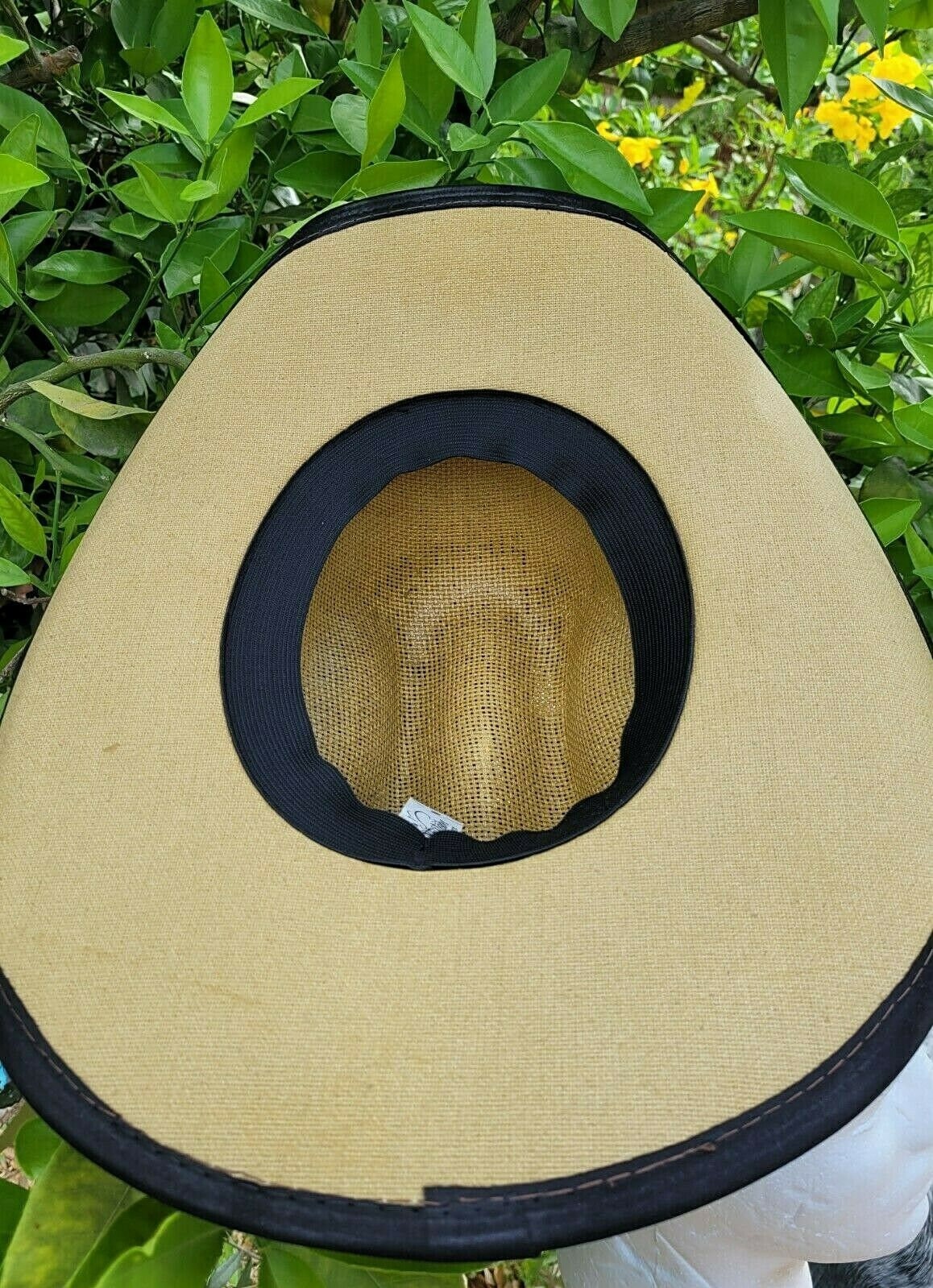 Wester Cowboy Hat the Old Beristain 