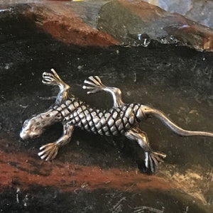 Sterling-hagedis brochespeld