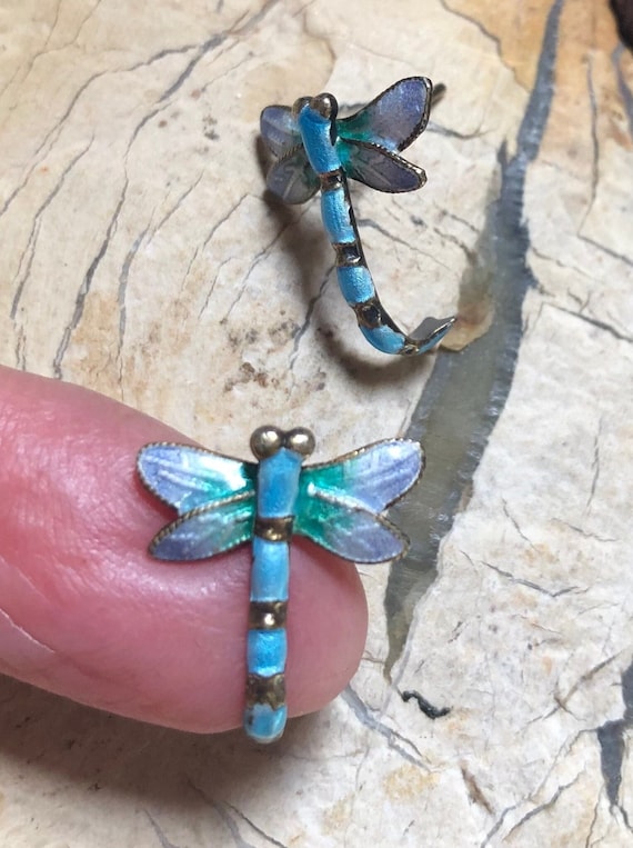 Enameled Sterling Dragonfly Earrings, Luminescent,
