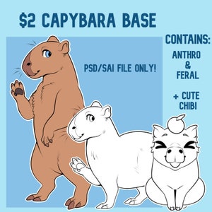 May include: A digital art base for drawing capybaras in three different styles: anthro, feral, and chibi. The base is available in PSD and SAI file formats.