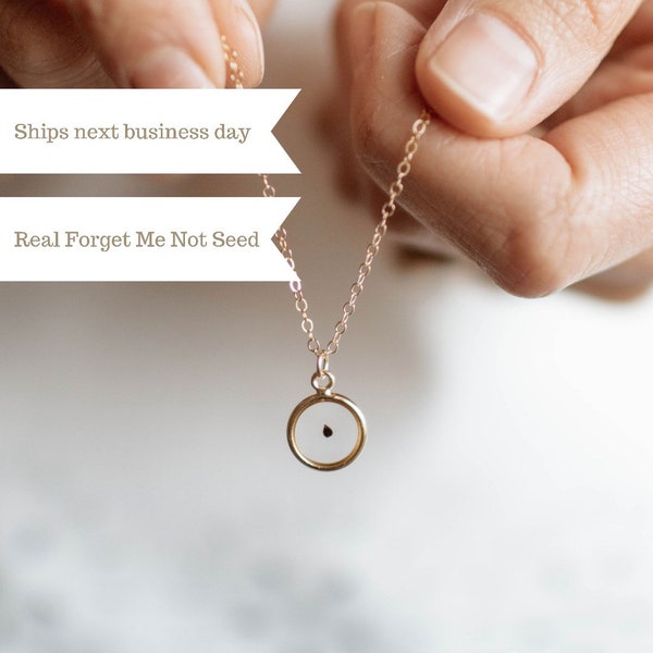 Forget Me Not Seed Necklace | Gold Filled Bereavement Gift