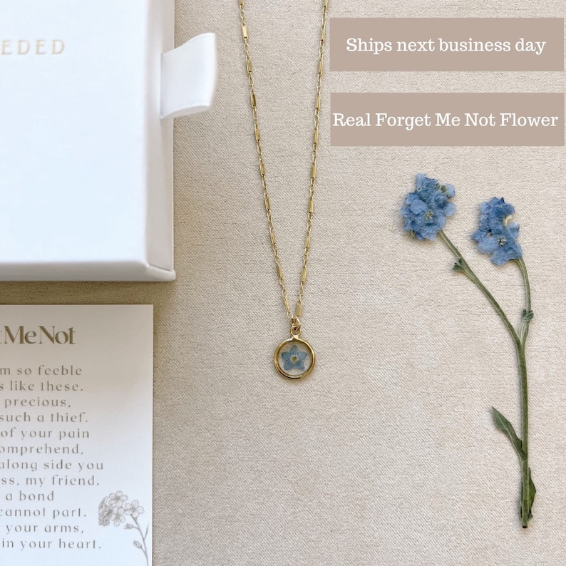 May include: A gold chain necklace with a small round pendant featuring a pressed forget-me-not flower. The flower is blue and white and is encased in clear resin. The necklace is on a white background with a small box and a sprig of forget-me-not flowers.