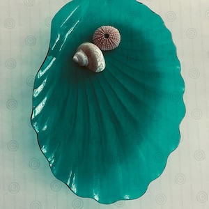 May include: A teal green glass dish shaped like a seashell with a white seashell and a pink sea urchin inside.