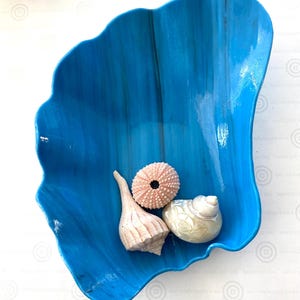 May include: A blue ceramic seashell bowl with a white background. The bowl is filled with three seashells, including a pink sea urchin.