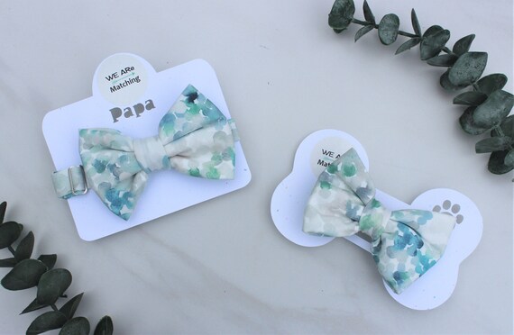 Matching bow ties cheap for dog and owner