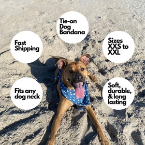 以下が含まれることがあります： 白い円の中に「Tie-on Dog Bandana」という文字が書かれた、青と白のドット柄のバンドをつけた茶色と黄褐色の犬。犬は砂浜に横たわっています。犬の周りに、「Fast Shipping」、「Fits any dog neck」、「Sizes XXS to XXL」、「Soft, durable, & long lasting」という文字が書かれた白い円がいくつかあります。