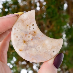 Flower Agate Moon - Small Flower Agate Moon Carving - Natural Blossom Agate Crystal