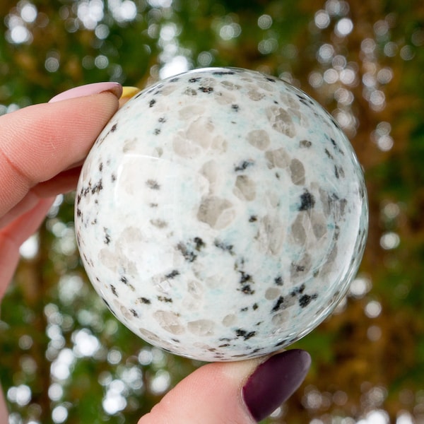 Kiwi Jasper Sphere +FREE Glass Stand! Natural Kiwi Jasper Ball - Jasper Crystal Sphere