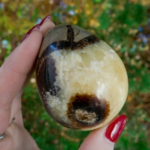Septarian Egg - Natural Dragon Stone Egg - Septarian Crystal Dragon Egg