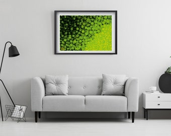 Chartreuse Art Print