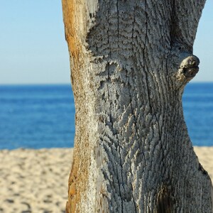 Seashore Massachusetts 4