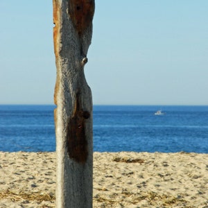 Seashore Massachusetts 5