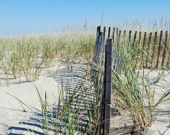 Beach Fence Race Point Massachusetts 1