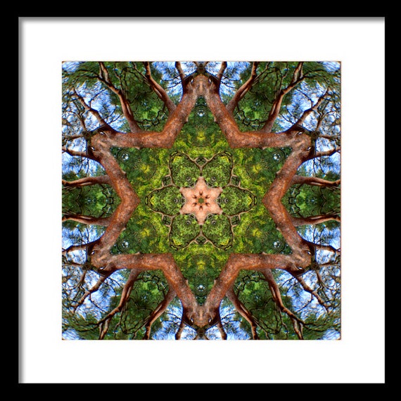 Red Pine Mandala 3a