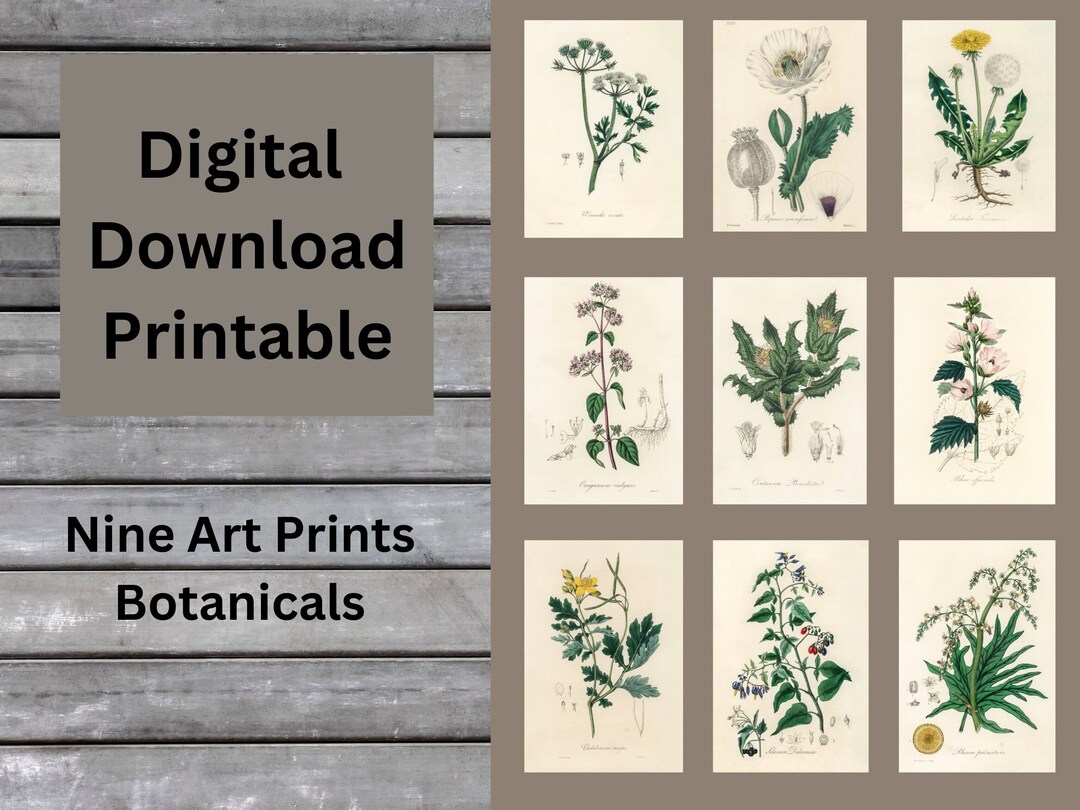 Botanical Wall Art, Flower Market Print, Set of 9, Floral Decor Posters ...
