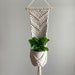 see more listings in the Wall Plant Hangers section