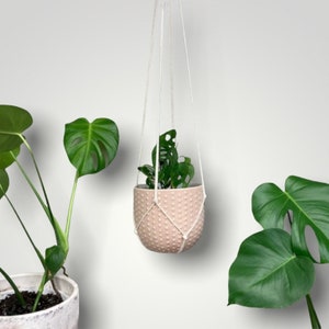 No Tassel Minimalist Plant Hanger - Tassel Free Plant Hanger - Modern Macrame - Plant Lover Gift - Boho Gift