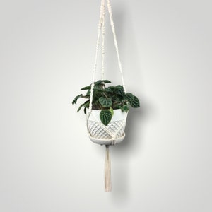 May include: A white macrame plant hanger holding a white ceramic pot with a green plant. The pot features a diamond design. The macrame has a tassel. The plant hanger is set against a white backdrop.