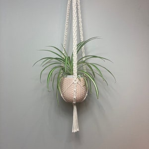 May include: A white macrame plant hanger with a pink planter and a green plant hanging from it.